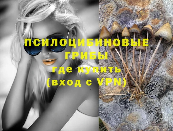 Альфа ПВП Балахна