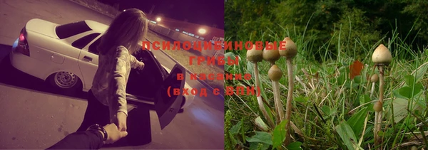 стаф Балабаново