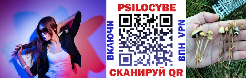 закладка  Яхрома  Галлюциногенные грибы Psilocybe 